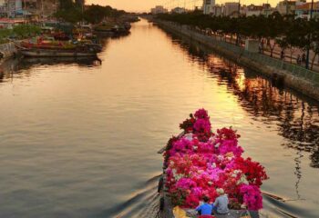 Ho Chi Minh City Tour in 1 Day