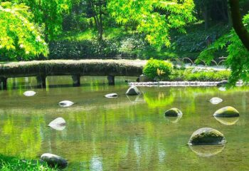 Tour dei giardini giapponesi di Tokyo