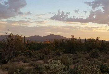 The Best Tucson Walking Tours
